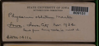 Image Associated With the Occurence